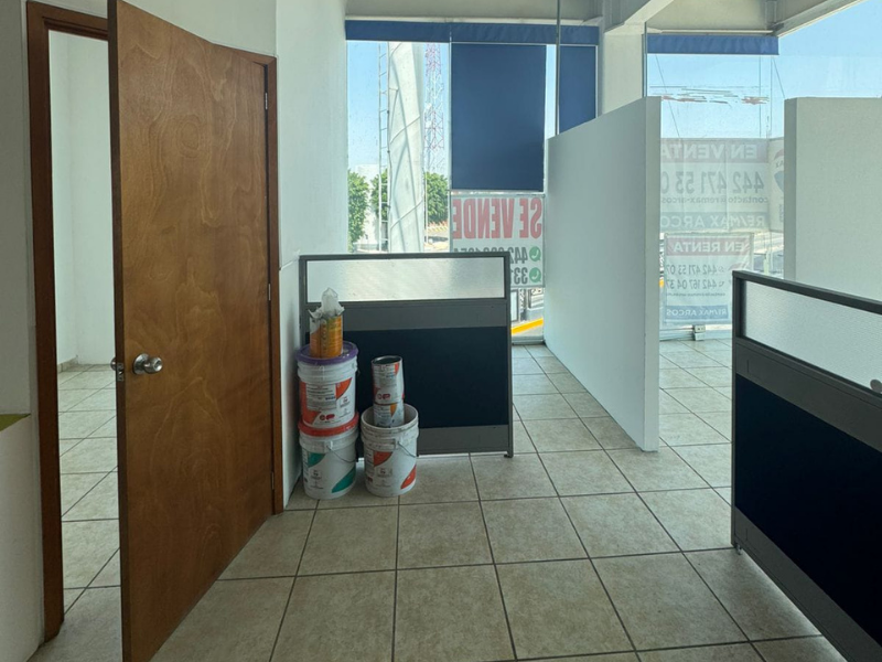 LocalQro-29